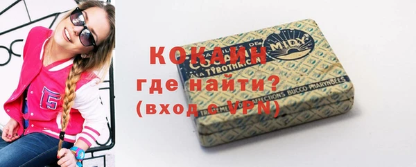 молекула духа Арсеньев