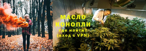 молекула духа Арсеньев