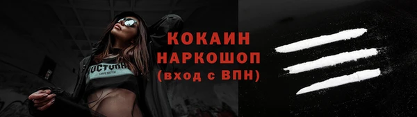 молекула духа Арсеньев