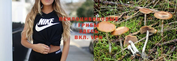 гашишное масло Алексеевка