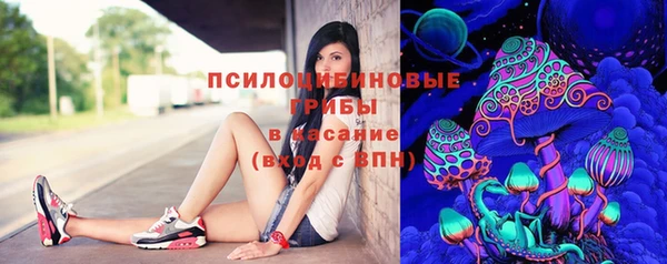 молекула духа Арсеньев