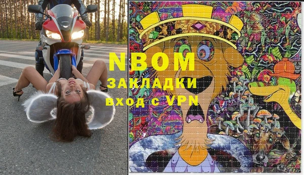 молекула духа Арсеньев