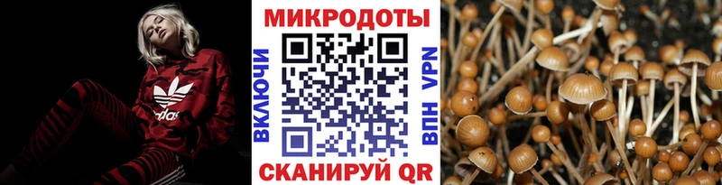 Псилоцибиновые грибы ЛСД  купить  сайты  Сельцо 